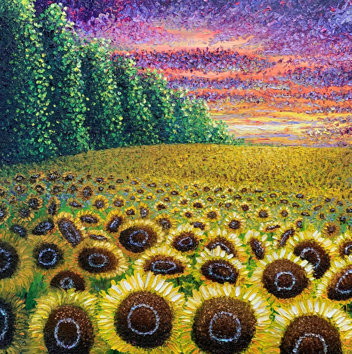 Sunflowers at Sunset Christina Alford